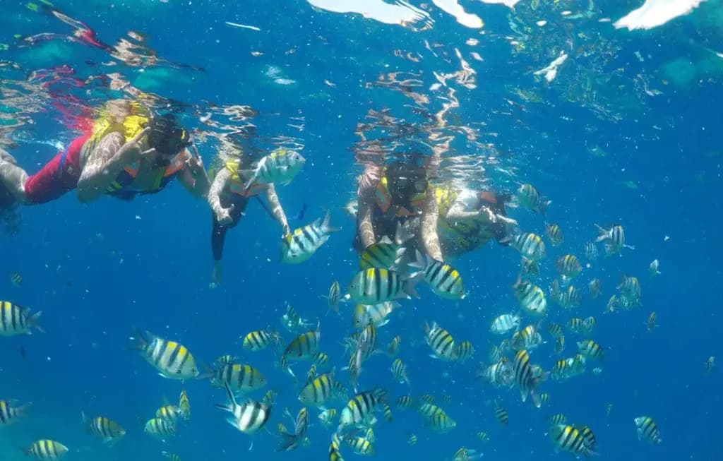 <p>Embrace the spirit of adventure in Lombok’s great outdoors. Trek to the summit of <strong>Mount Rinjani</strong> through lush forests and cascading waterfalls, dive into the crystal waters of the <strong>Gili Islands</strong> for world-class snorkeling, or wander to secluded <strong>hidden beaches</strong> where tranquility reigns. From the enchanting <strong>Benang Kelambu</strong> and <strong>Tiu Kelep waterfalls</strong> to endless coastal escapes, every journey invites you to connect with nature at its most breathtaking.</p>