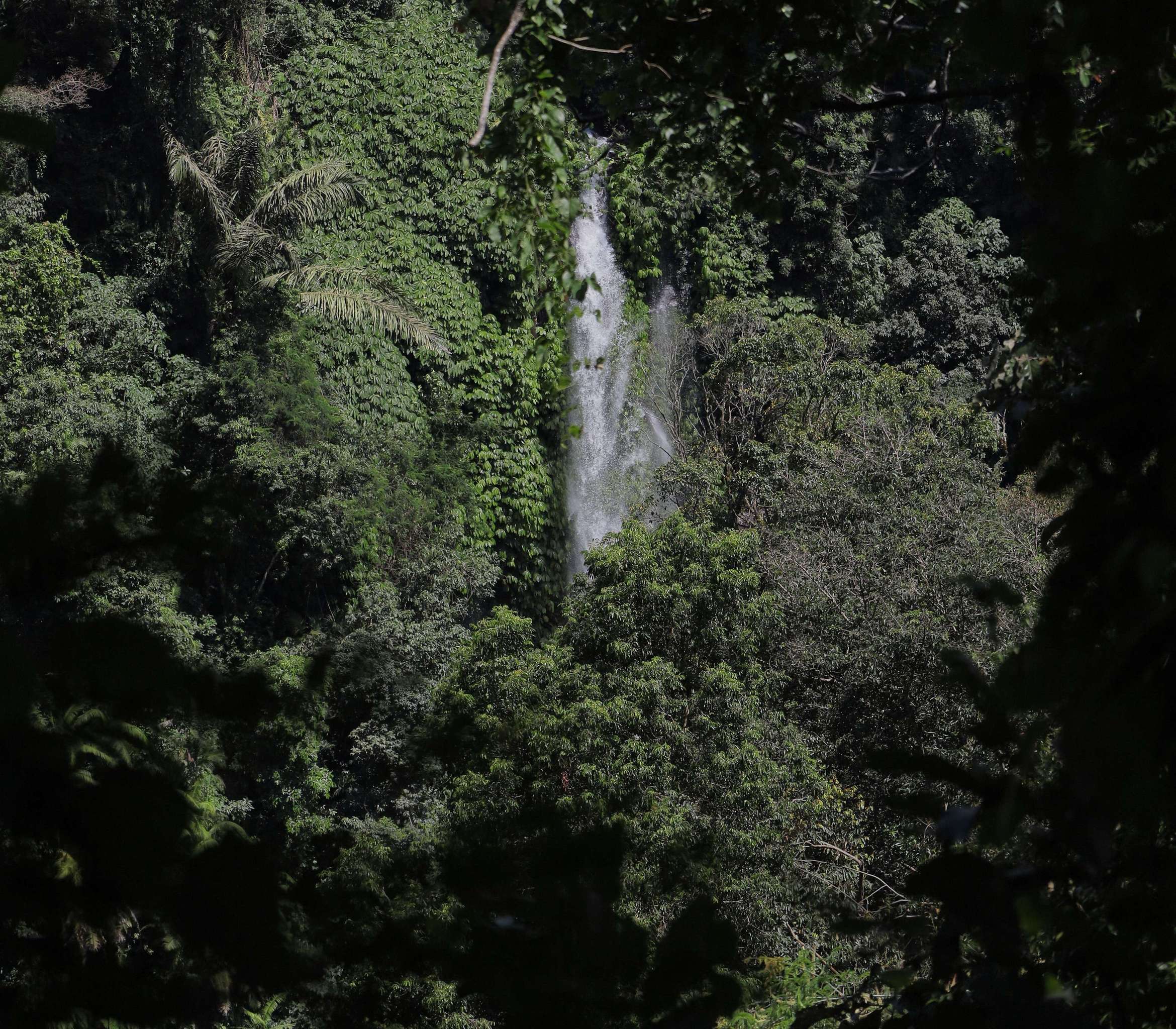 Waterfalls